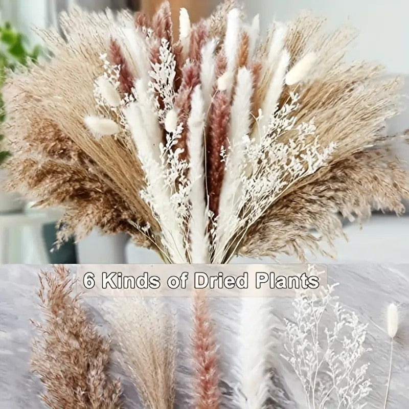 Natural Reed Grass Christmas Dried Flowers Bouquet Finished Product