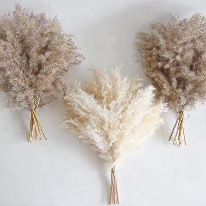 Natural Reed Grass Christmas Dried Flowers Bouquet Finished Product